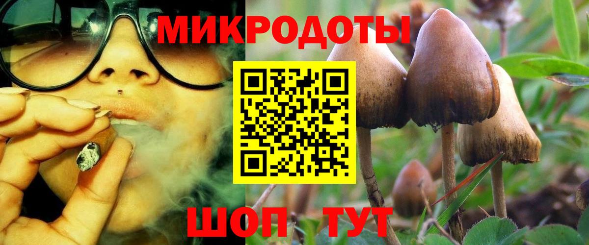 Псилоцибиновые грибы Psilocybine cubensis Красноуфимск